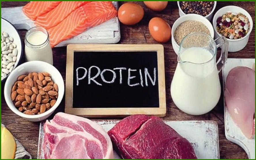 Thực phẩm giàu protein