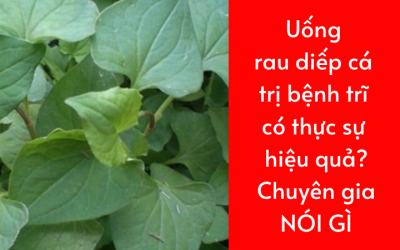 Uống rau diếp cá trị bệnh trĩ có thực sự hiệu quả?