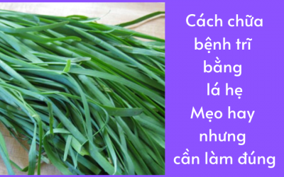 Cách chữa bệnh trĩ bằng lá hẹ: Mẹo hay nhưng cần làm đúng