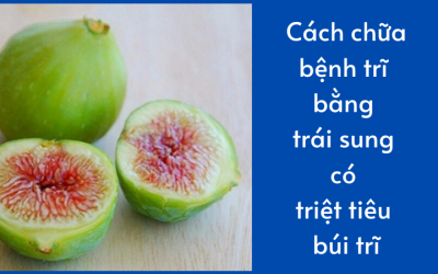 Cách chữa bệnh trĩ bằng trái sung có triệt tiêu búi trĩ