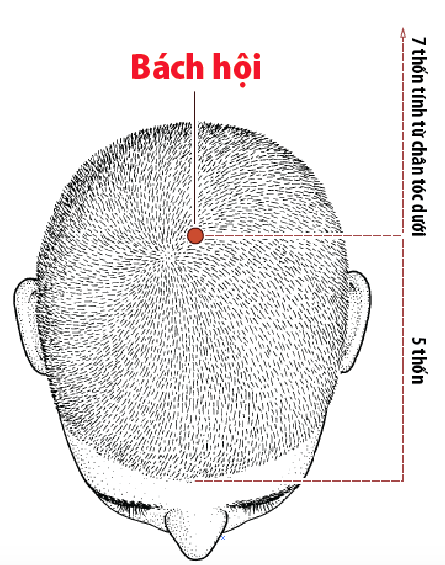 Huyệt bách hội