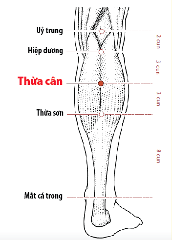 Huyệt thừa sơn