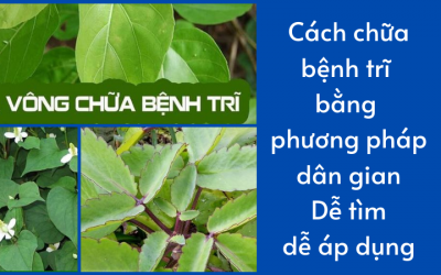{ Cách Chữa Bệnh Trĩ } – Phương Pháp Dân Gian Dễ Thực Hiện