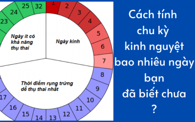 Cách tính chu kỳ kinh nguyệt bao nhiêu ngày bạn đã biết chưa?