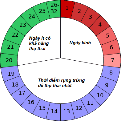 Chu kỳ kinh nguyệt là gì?