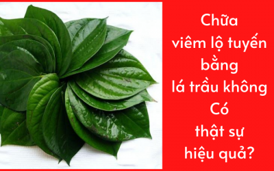 Chữa viêm lộ tuyến bằng lá trầu không: Có thật sự hiệu quả?