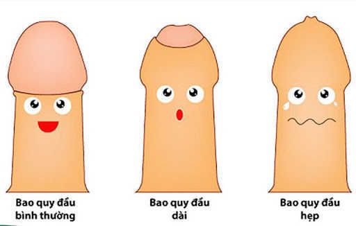 Bao quy đầu như thế nào là bình thường?