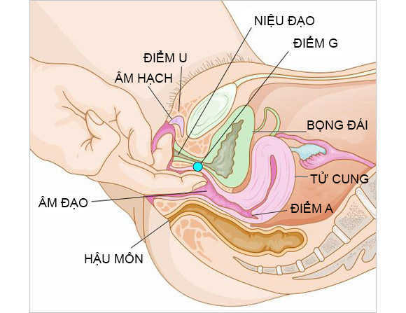 chị em có thể rửa sạch tay rồi đưa ngón tay vào trong âm đạo