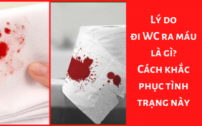 Lý do đi WC ra máu là gì? Cách khắc phục tình trạng này