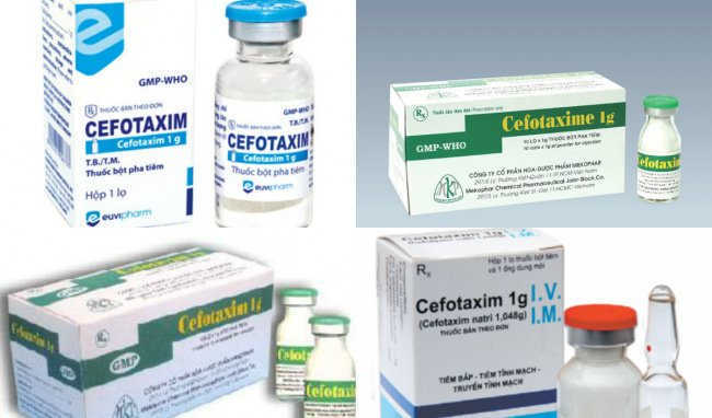 Cefotaxim