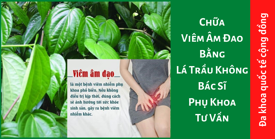 Chữa Viêm Âm Đao Bằng Lá Trầu Không – Bác Sĩ Phụ Khoa Tư Vấn