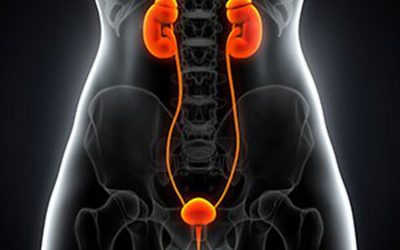 Hội Chứng Niệu Đạo Cấp Là Gì? Bác Sĩ Lê Thị Nhài Giải Đáp