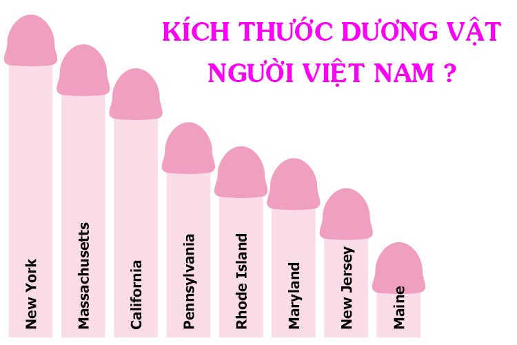 Thế nào là kích thước dương vật lý tưởng?