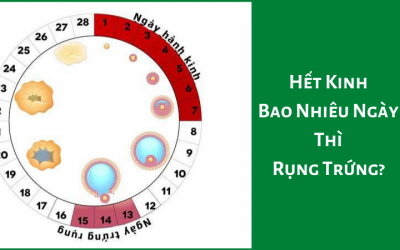 Hết kinh bao nhiêu ngày thì rụng trứng và quan hệ không có thai?
