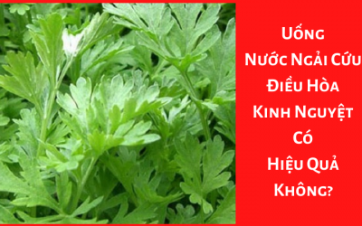 Uống Nước Ngải Cứu Điều Hòa Kinh Nguyệt Có Hiệu Quả Không?