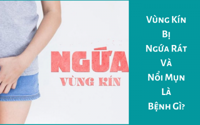 Vùng Kín Bị Ngứa Rát Và Nổi Mụn Là Bệnh Gì?