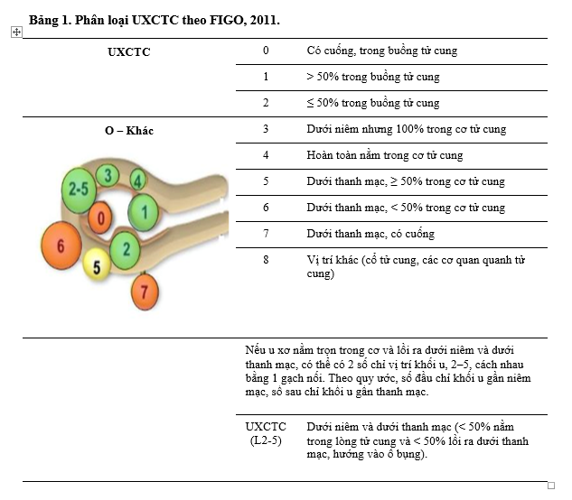 Phân loại u xơ tử cung