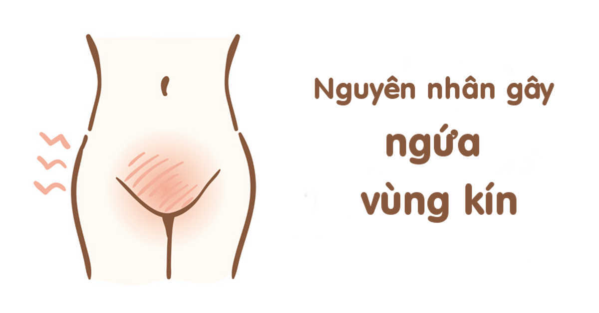 10 nguyên nhân gây ngứa vùng kín ở nữ giới thường gặp