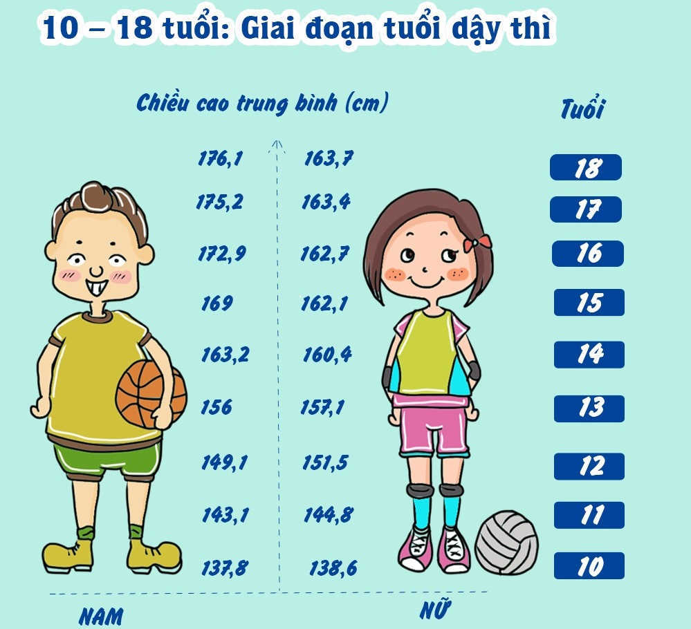 Độ tuổi dậy thì của nữ giới từ 10 – 15 tuổi