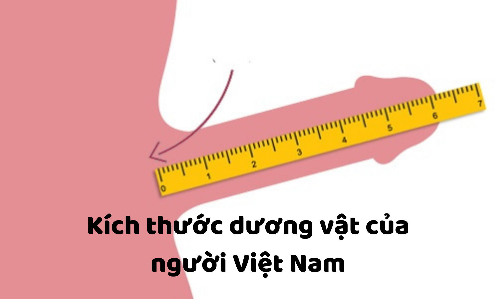 kích thước dương vật