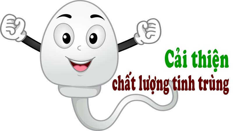 Cải thiện chất lượng tinh trùng