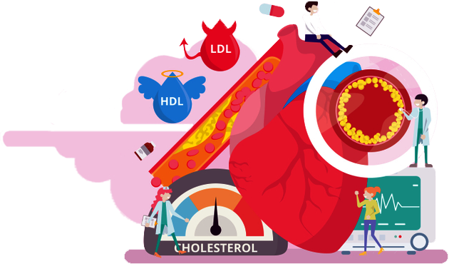 Giảm huyết áp và điều chỉnh nồng độ Cholesterol xấu