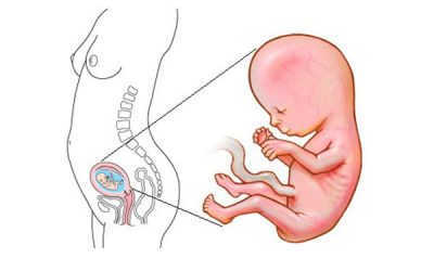 Cọ Xát Bộ Phận Sinh Dục Có Thai Không? – Đa Khoa Cộng Đồng