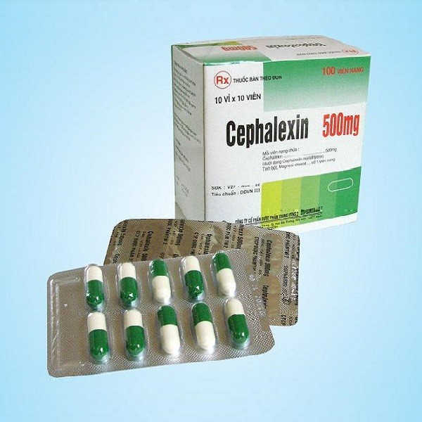 Cephalexin