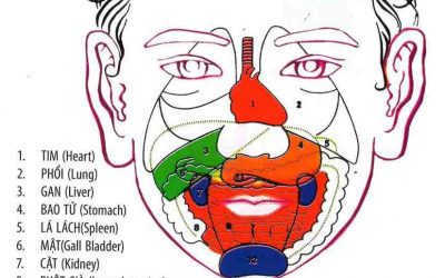Chữa Bệnh Trĩ Bằng Diện Chẩn Là Như Thế Nào? Có Hiệu Quả Không?
