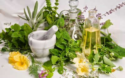 [Danh Sách] – 5 Bài Thuốc Gia Truyền Chữa Bệnh Trĩ Phổ Biến Nhất