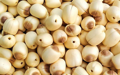 Hạt sen có tác dụng gì? Cách dùng và bảo quản hạt sen