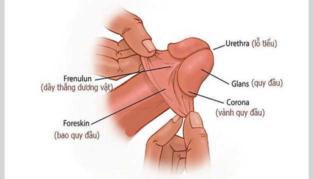 Quy trình chuẩn khi cắt bao quy đầu bằng công nghệ surkon