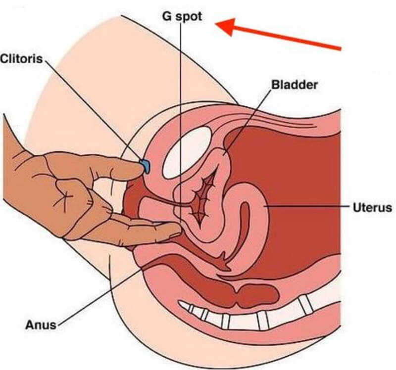 Điểm G cực khoái của âm đạo có thể không có thật