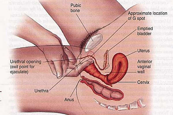 Kích thích âm đạo dẫn đến cực khoái