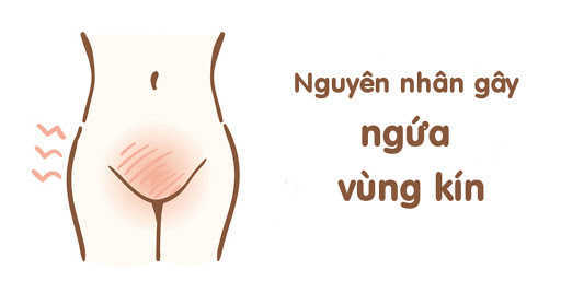 Nguyên nhân ngứa lông mu vào ban đêm