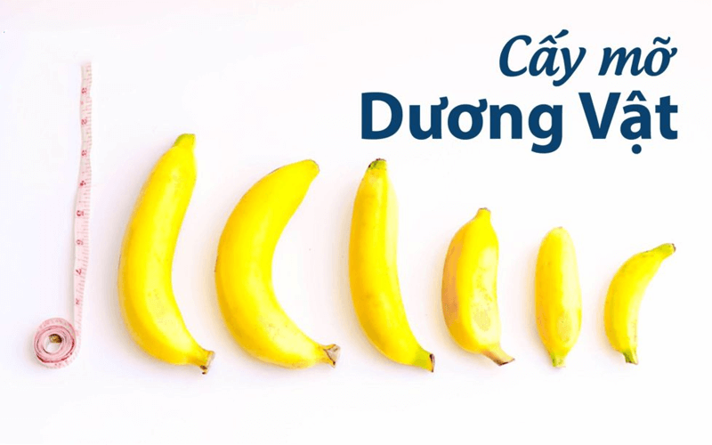 Nâng cấp dương vật bằng mỡ tự thân là gì?