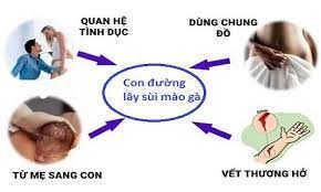 Sùi mào gà lây nhiễm qua con đường nào?