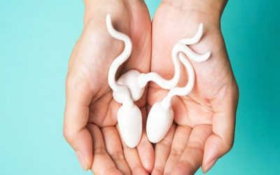 [Giải đáp] Tinh trùng sống được bao lâu trong bao quy đầu và các môi trường khác?