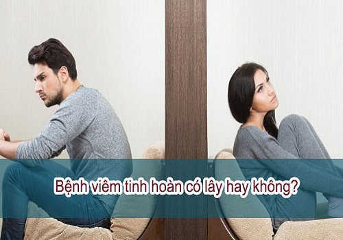 Viêm tinh hoàn có lây lan không?