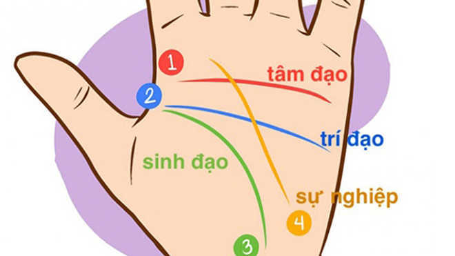 Xem đường chỉ tay