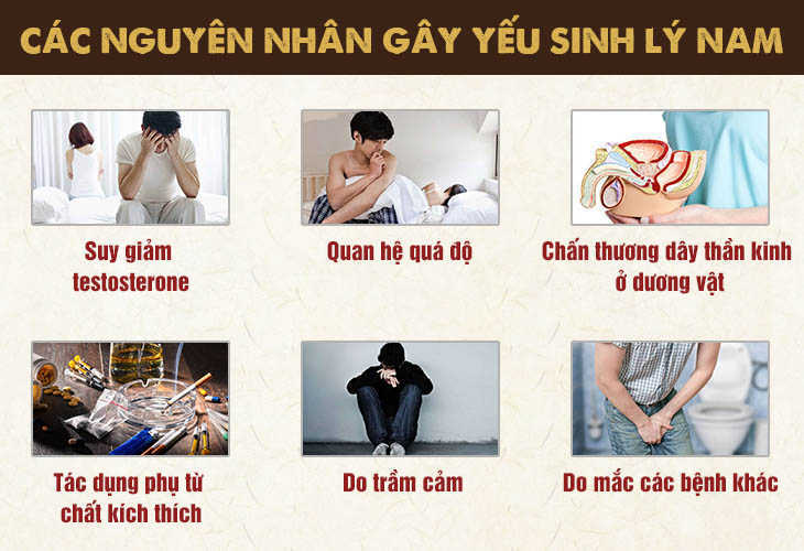 Nguyên nhân sinh lý