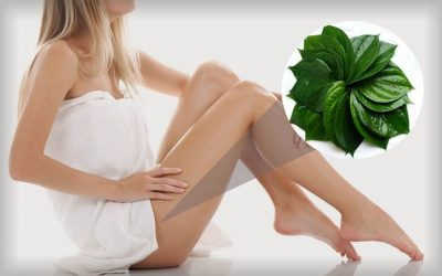 Se khít vùng kín bằng lá trầu không có hiệu quả, an toàn?