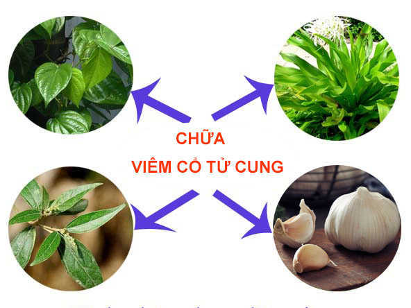 Mẹo dân gian trị viêm lộ tuyến