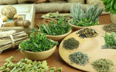 Cách chữa liệt dương bằng dân gian thế nào cho hiệu quả?